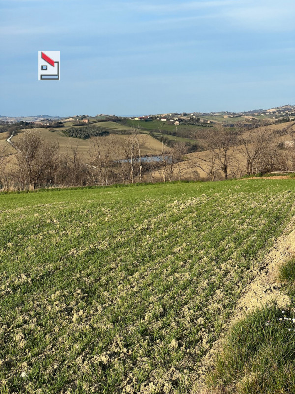 Immagine 14 di Rustico / casale in vendita  in Via San Vincenzo a Ostra