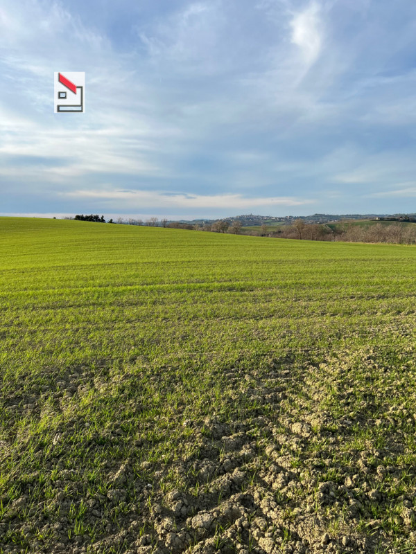 Immagine 15 di Rustico / casale in vendita  in Via San Vincenzo a Ostra