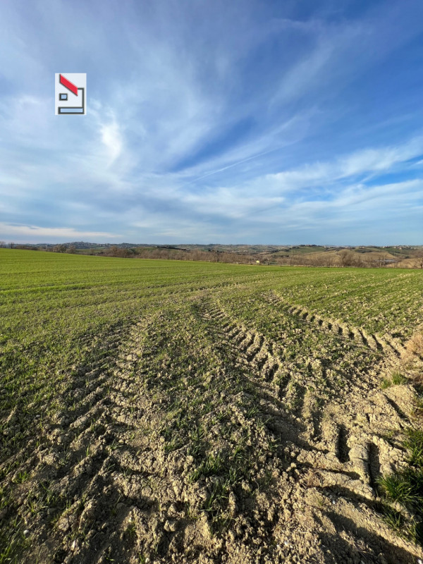 Immagine 20 di Rustico / casale in vendita  in Via San Vincenzo a Ostra