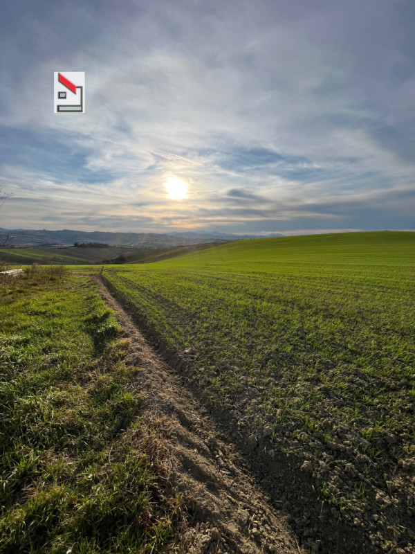 Immagine 21 di Rustico / casale in vendita  in Via San Vincenzo a Ostra