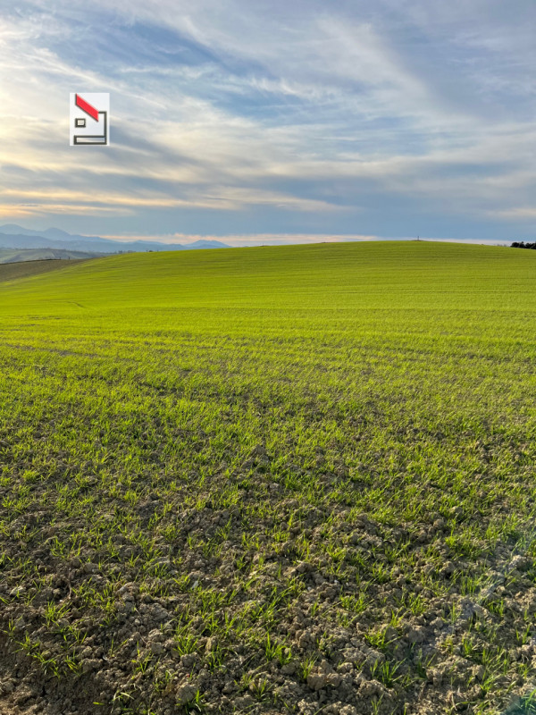 Immagine 36 di Rustico / casale in vendita  in Via San Vincenzo a Ostra
