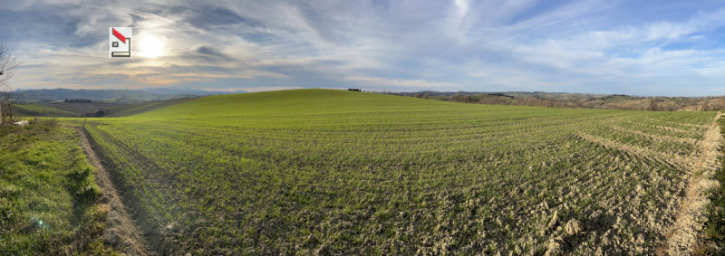 Immagine 37 di Rustico / casale in vendita  in Via San Vincenzo a Ostra