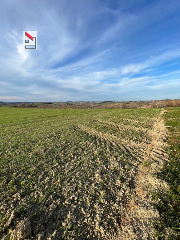 Immagine 38 di Rustico / casale in vendita  in Via San Vincenzo a Ostra