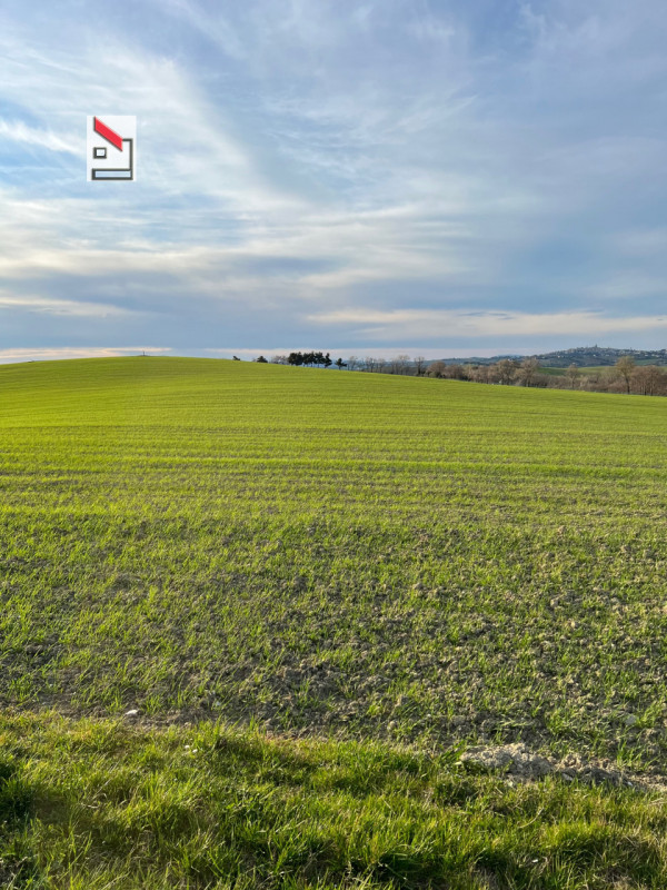 Immagine 40 di Rustico / casale in vendita  in Via San Vincenzo a Ostra