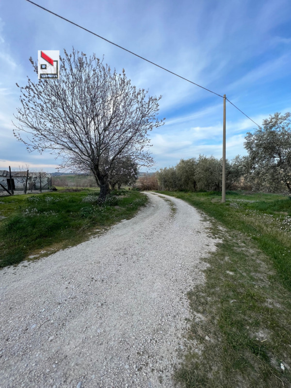 Immagine 41 di Rustico / casale in vendita  in Via San Vincenzo a Ostra