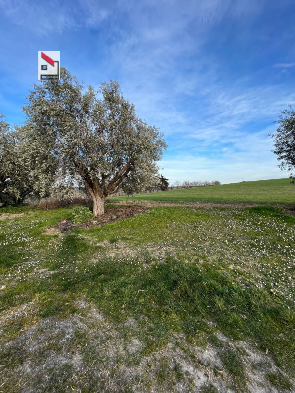 Immagine 45 di Rustico / casale in vendita  in Via San Vincenzo a Ostra