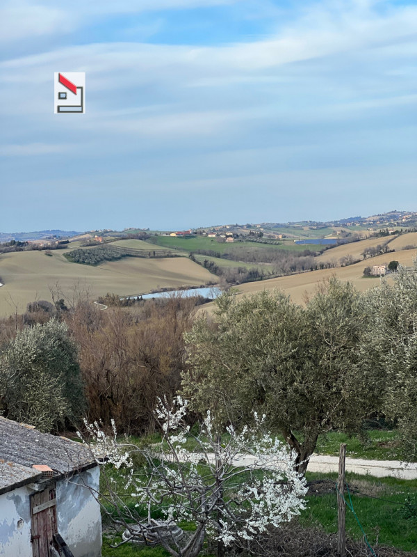 Immagine 46 di Rustico / casale in vendita  in Via San Vincenzo a Ostra