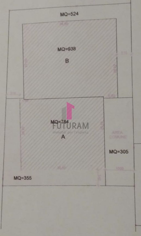 Immagine 6 di Capannone industriale in vendita  a Rovolon