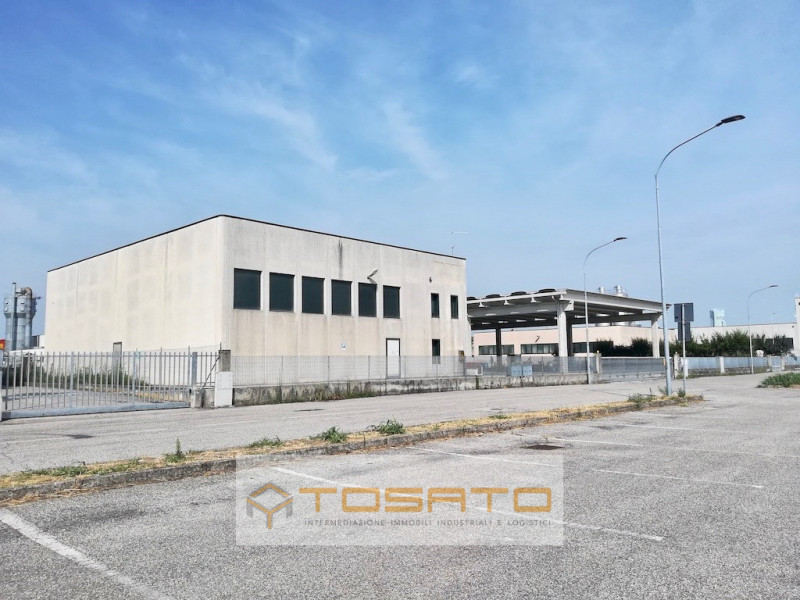 Immagine 5 di Capannone industriale in vendita  a Casaleone
