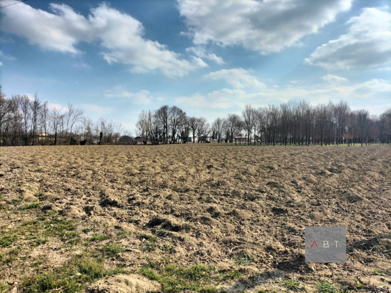 Immagine 3 di Terreno in vendita  a Camposampiero