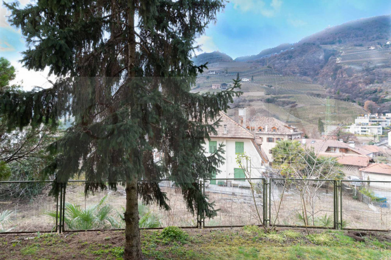 Foto annuncio 19