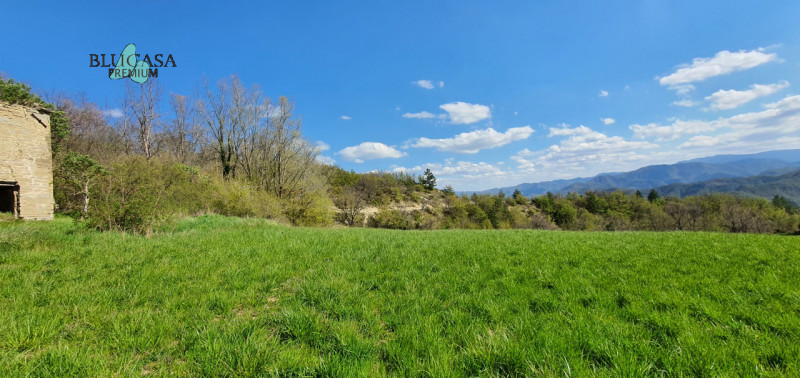 Immagine 3 di Rustico / casale in vendita  in Camposonaldo a Santa Sofia