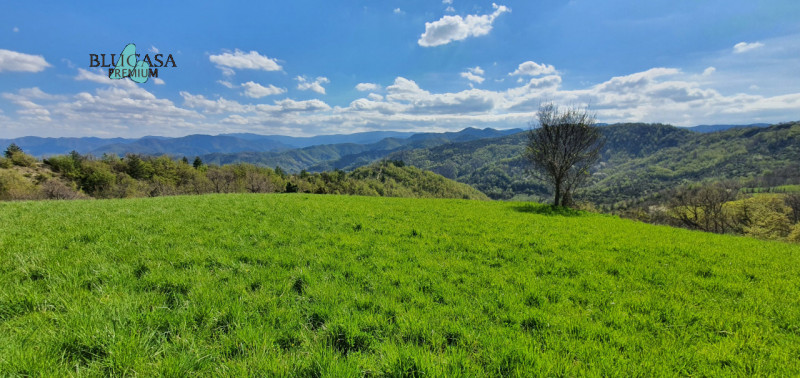 Immagine 4 di Rustico / casale in vendita  in Camposonaldo a Santa Sofia