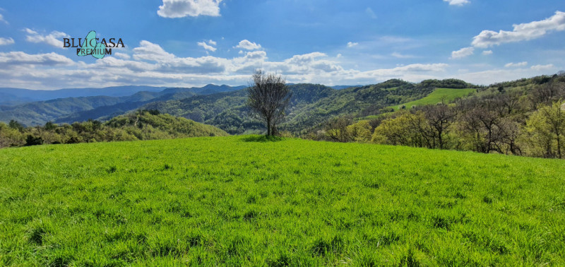 Immagine 5 di Rustico / casale in vendita  in Camposonaldo a Santa Sofia