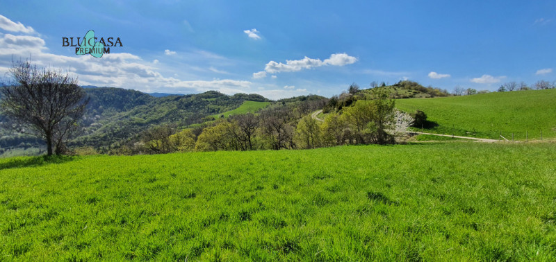 Immagine 6 di Rustico / casale in vendita  in Camposonaldo a Santa Sofia
