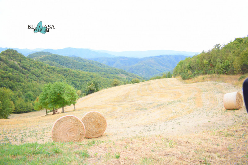 Immagine 7 di Rustico / casale in vendita  in Camposonaldo a Santa Sofia