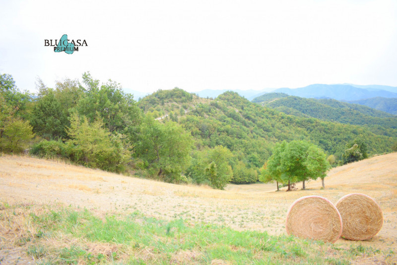 Immagine 8 di Rustico / casale in vendita  in Camposonaldo a Santa Sofia