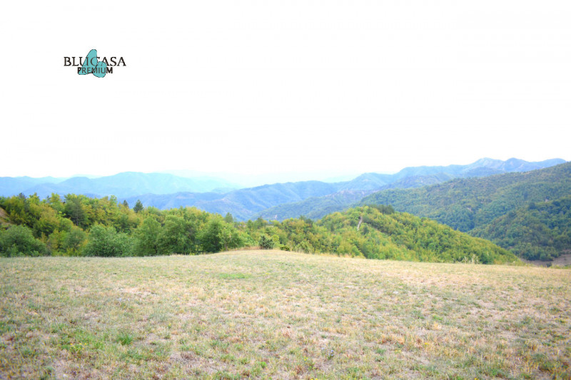 Immagine 10 di Rustico / casale in vendita  in Camposonaldo a Santa Sofia