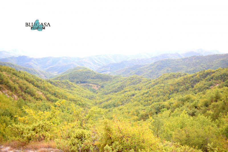 Immagine 11 di Rustico / casale in vendita  in Camposonaldo a Santa Sofia