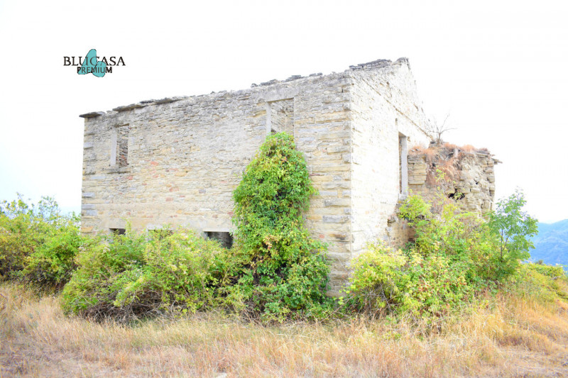 Immagine 12 di Rustico / casale in vendita  in Camposonaldo a Santa Sofia
