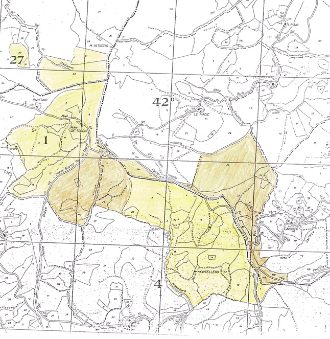 Immagine 13 di Rustico / casale in vendita  in Camposonaldo a Santa Sofia