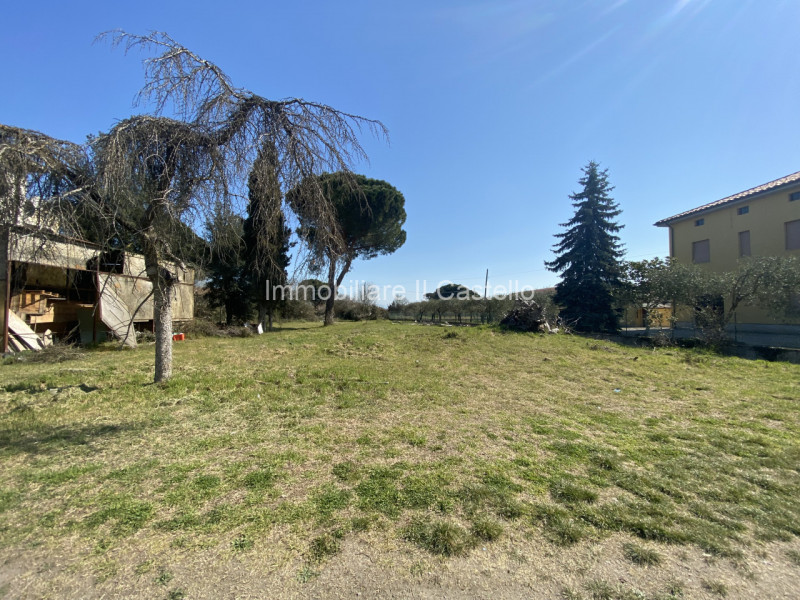 Immagine 7 di Terreno in vendita  a Castiglione Del Lago