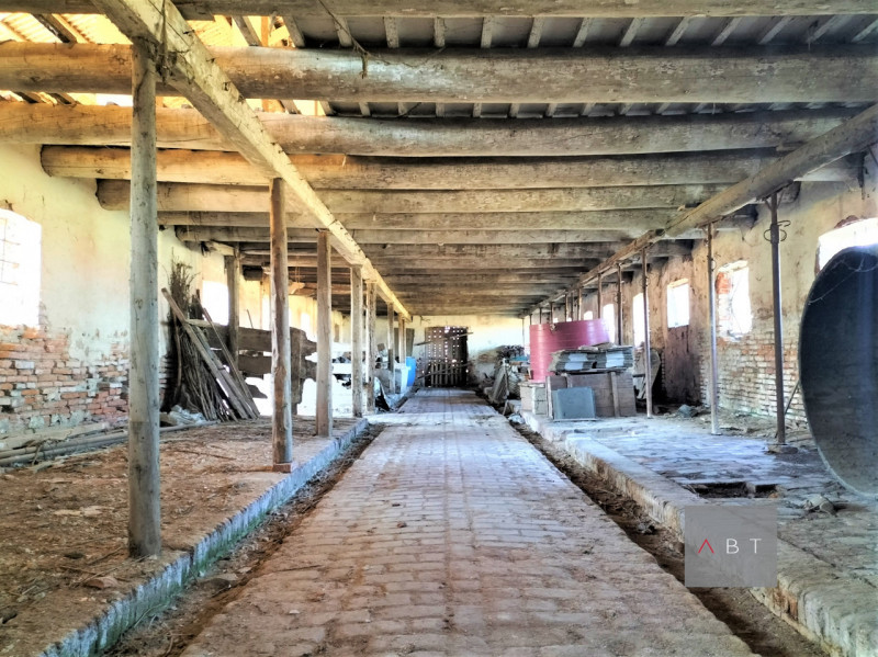 Immagine 4 di Rustico / casale in vendita  a San Pietro In Gu