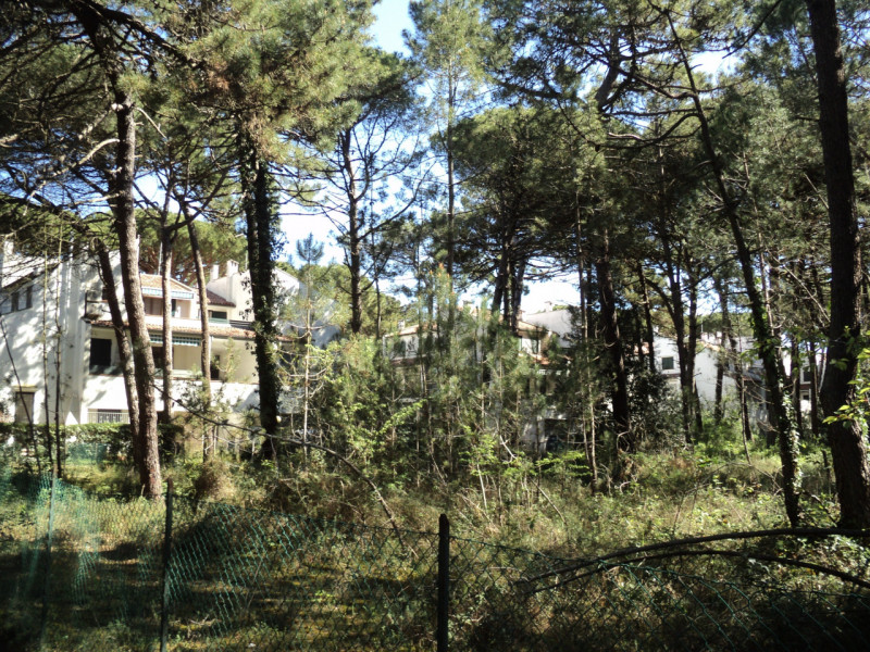 Immagine 25 di Villetta a schiera in vendita  in VIALE GIORDANO 9 a Comacchio