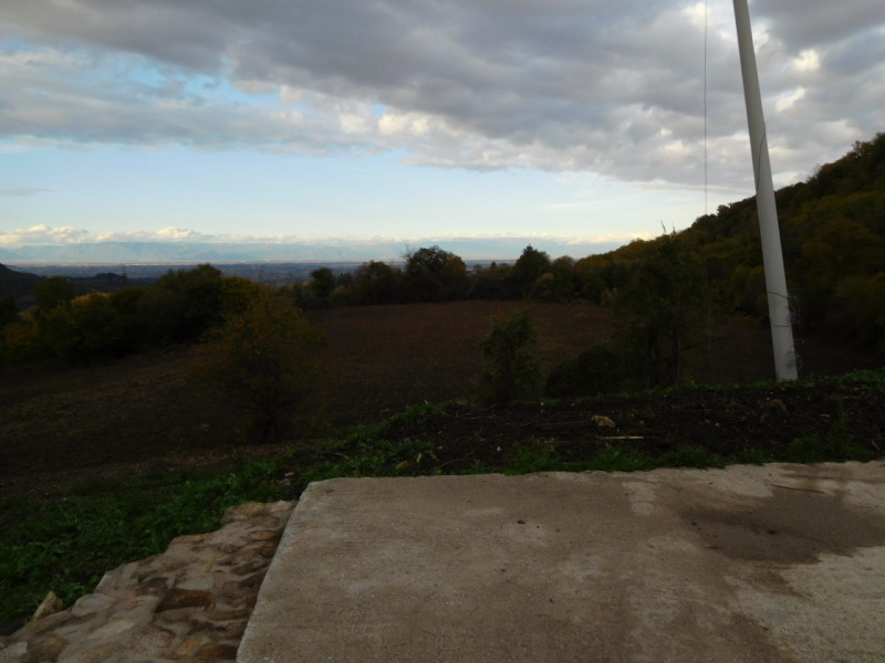 Foto annuncio 39
