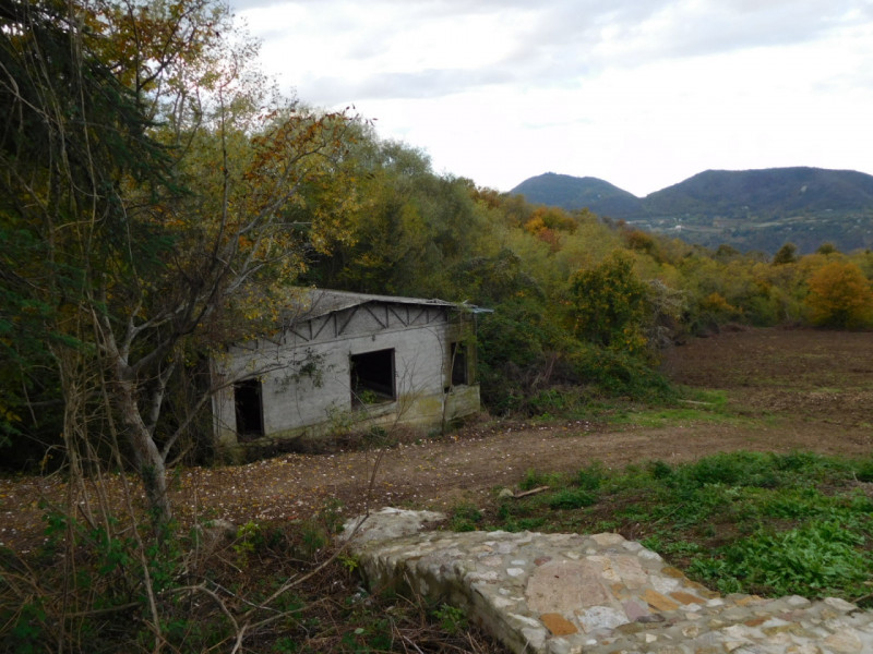 Foto annuncio 40