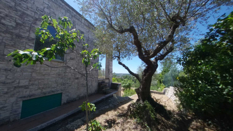Immagine 55 di Villa in vendita  in Ardig a Fasano