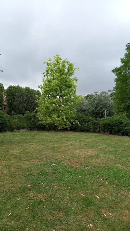 Immagine 12 di Villa in vendita  in VIA UMBERTO I a Costa Di Rovigo