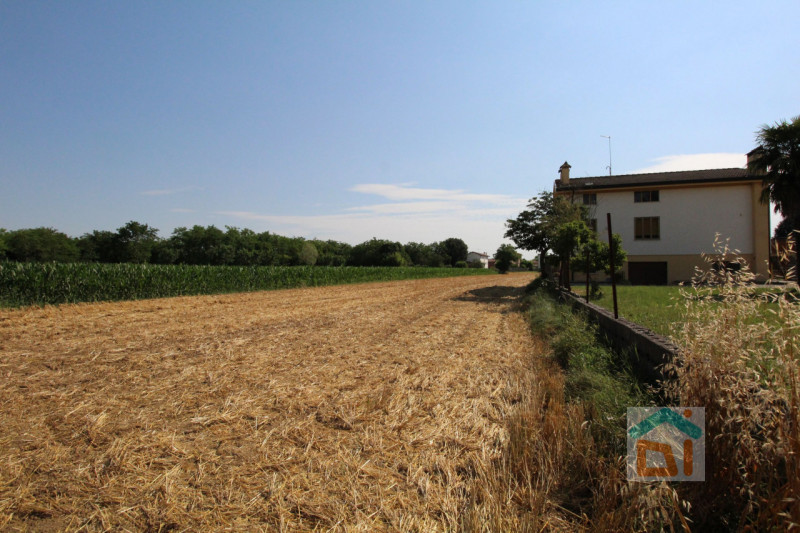 Immagine 6 di Terreno in vendita  in Strada Militare a Palmanova