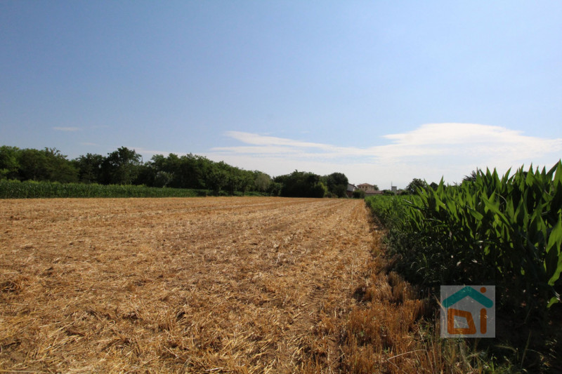 Immagine 11 di Terreno in vendita  in Strada Militare a Palmanova