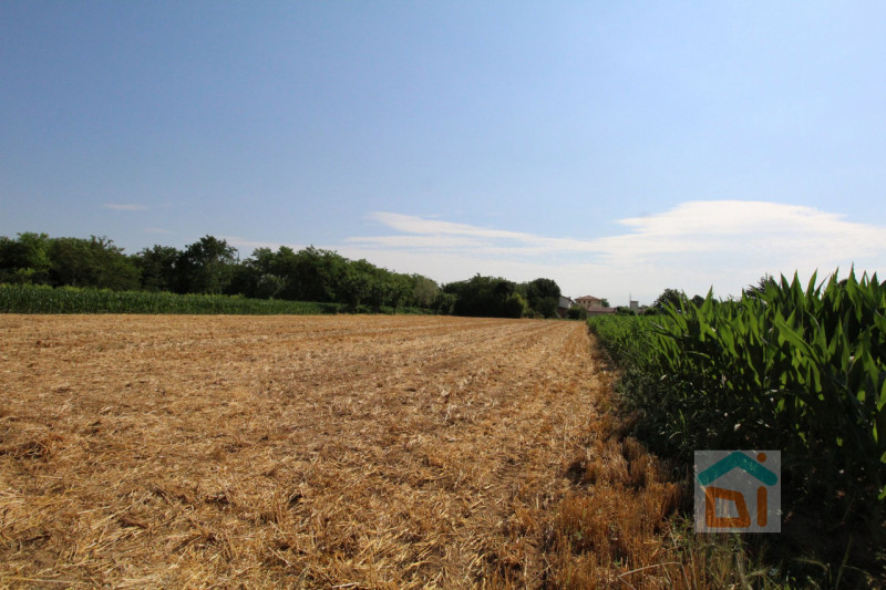 Immagine 12 di Terreno in vendita  in Strada Militare a Palmanova