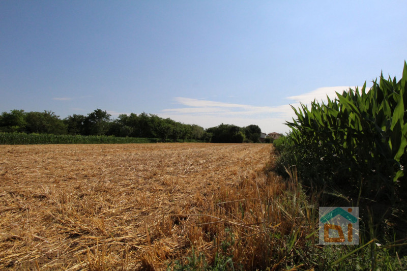 Immagine 13 di Terreno in vendita  in Strada Militare a Palmanova