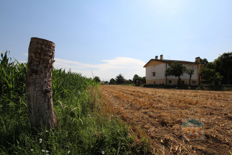 Immagine 11 di Terreno in vendita  in Strada Militare a Palmanova
