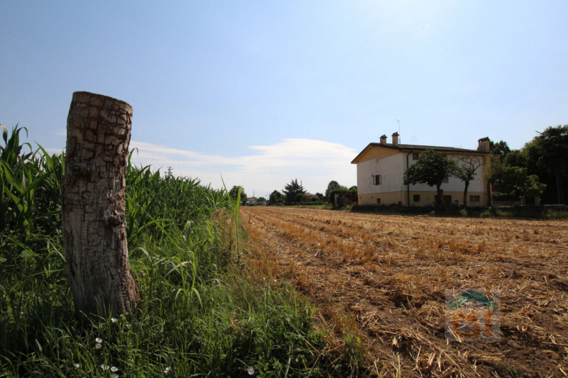 Immagine 12 di Terreno in vendita  in Strada Militare a Palmanova