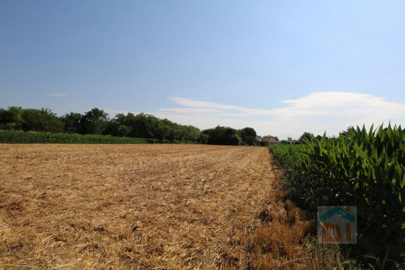 Immagine 13 di Terreno in vendita  in Strada Militare a Palmanova