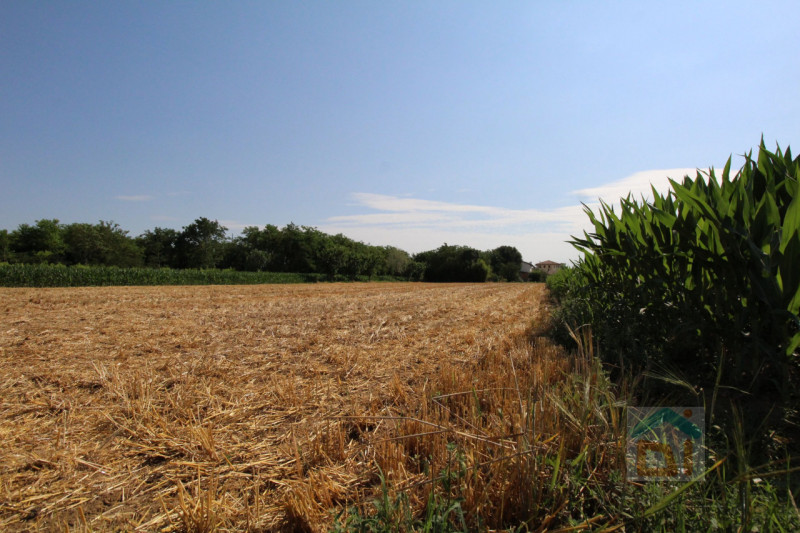 Immagine 15 di Terreno in vendita  in Strada Militare a Palmanova