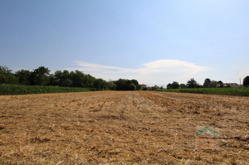 Immagine 16 di Terreno in vendita  in Strada Militare a Palmanova