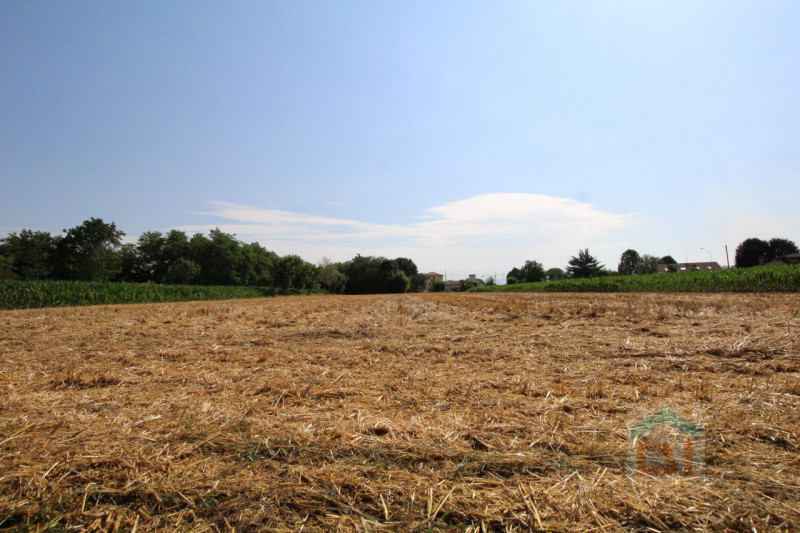 Immagine 18 di Terreno in vendita  in Strada Militare a Palmanova