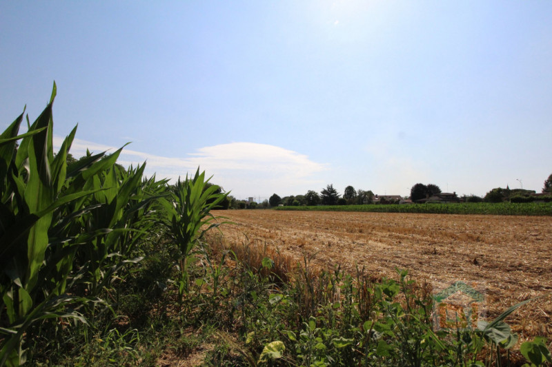 Immagine 19 di Terreno in vendita  in Strada Militare a Palmanova