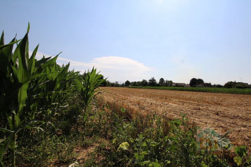 Immagine 20 di Terreno in vendita  in Strada Militare a Palmanova