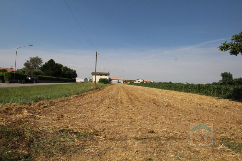 Immagine 21 di Terreno in vendita  in Strada Militare a Palmanova