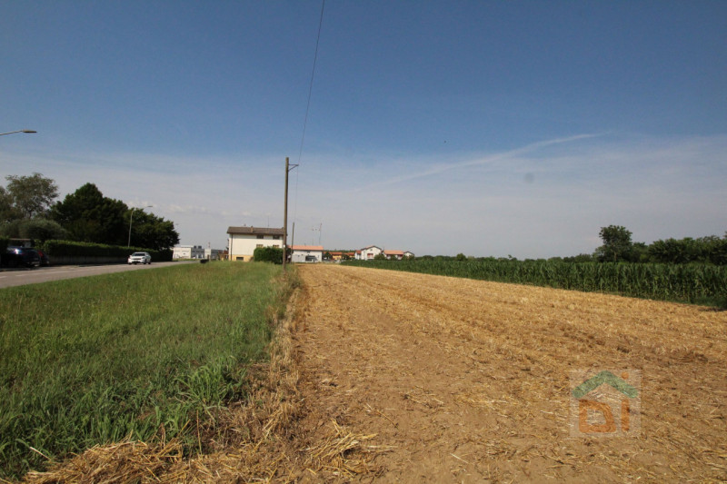 Immagine 23 di Terreno in vendita  in Strada Militare a Palmanova