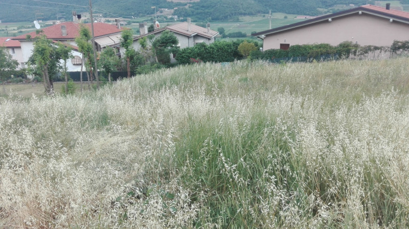 Immagine 3 di Terreno in vendita  a Val Liona