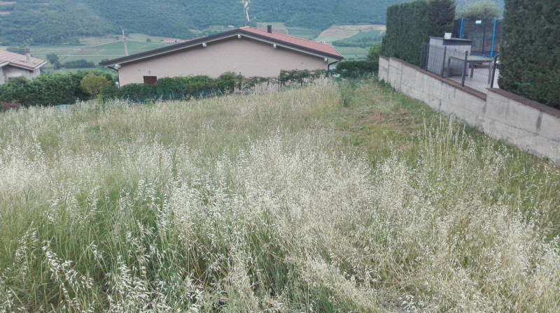 Immagine 4 di Terreno in vendita  a Val Liona