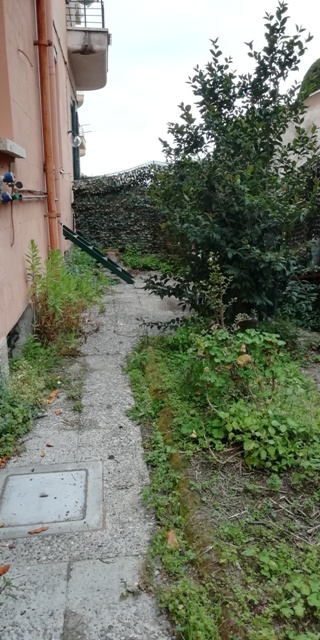 Foto annuncio 14