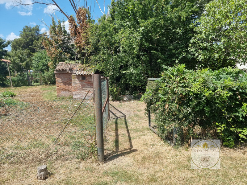 Immagine 5 di Casa indipendente in vendita  in via cremon a Megliadino San Vitale